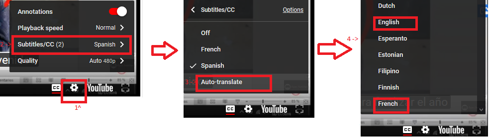 SelectAutoSubtitles.png